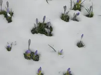 DSCN0118.webp