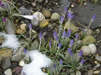DSCN0119.webp