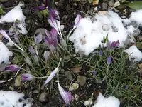 DSCN0120.webp