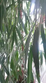 IMG-20160130-WA0004.webp
