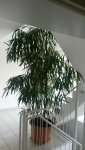 IMG-20160130-WA0001.jpg