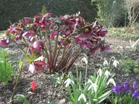 002.webp