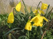 011.webp