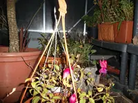 SAM_0773.webp