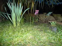 SAM_0778.webp