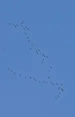 DSC_6567.webp