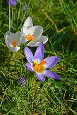 DSC_6575.webp