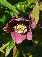 DSC_6579.webp