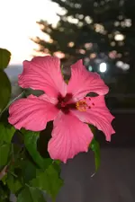 DSC_6583.webp
