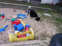 P1030420.webp