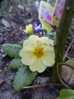 P1030951.webp