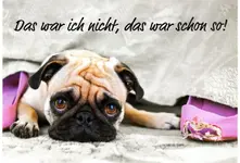 img074.webp