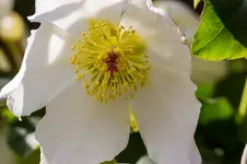 7550.webp