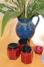 türkenkirsche1.webp