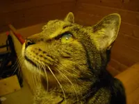IMGP3328.webp