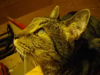 IMGP3325.webp