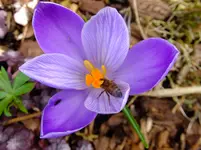 047.webp