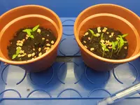 20160220_Tag11.webp