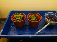20160227_Tag17.webp