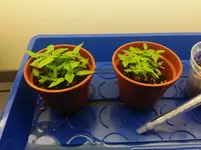 20160304_Tag23.webp