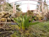 SAM_0782.webp