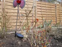 SAM_0791.webp