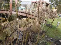 SAM_0792.webp