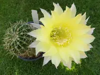 011.webp