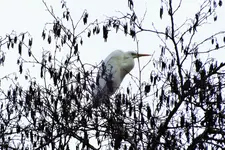 DSCF5404 (2).webp
