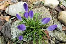 DSCF5400 (2).webp
