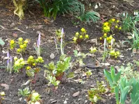 DSCN0126.webp