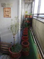 002.webp