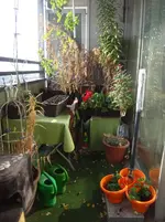 003.webp