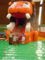 DSCN5646.webp