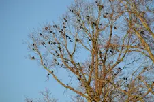 DSC_9380.webp