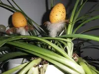 Bilda003.webp