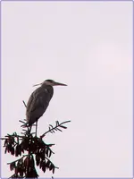 DSCN0144.webp
