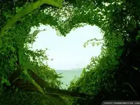 FB_IMG_1454598189992.webp