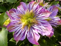 DSCF9063.webp