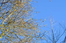 DSC_6605.webp