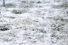 DSC_1669.jpg