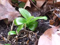 DSCF4047.webp