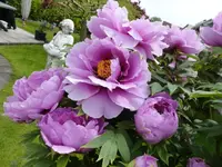 024 (2).webp
