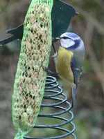 DSC_6640.webp