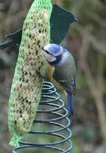 DSC_6642.webp