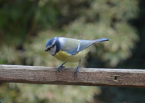DSC_6653.webp