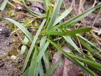 P1040380.webp