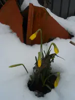 DSCN3586.webp