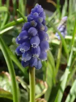 018.webp