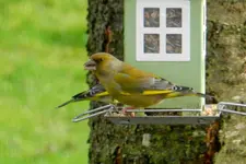 DSCN3617.webp